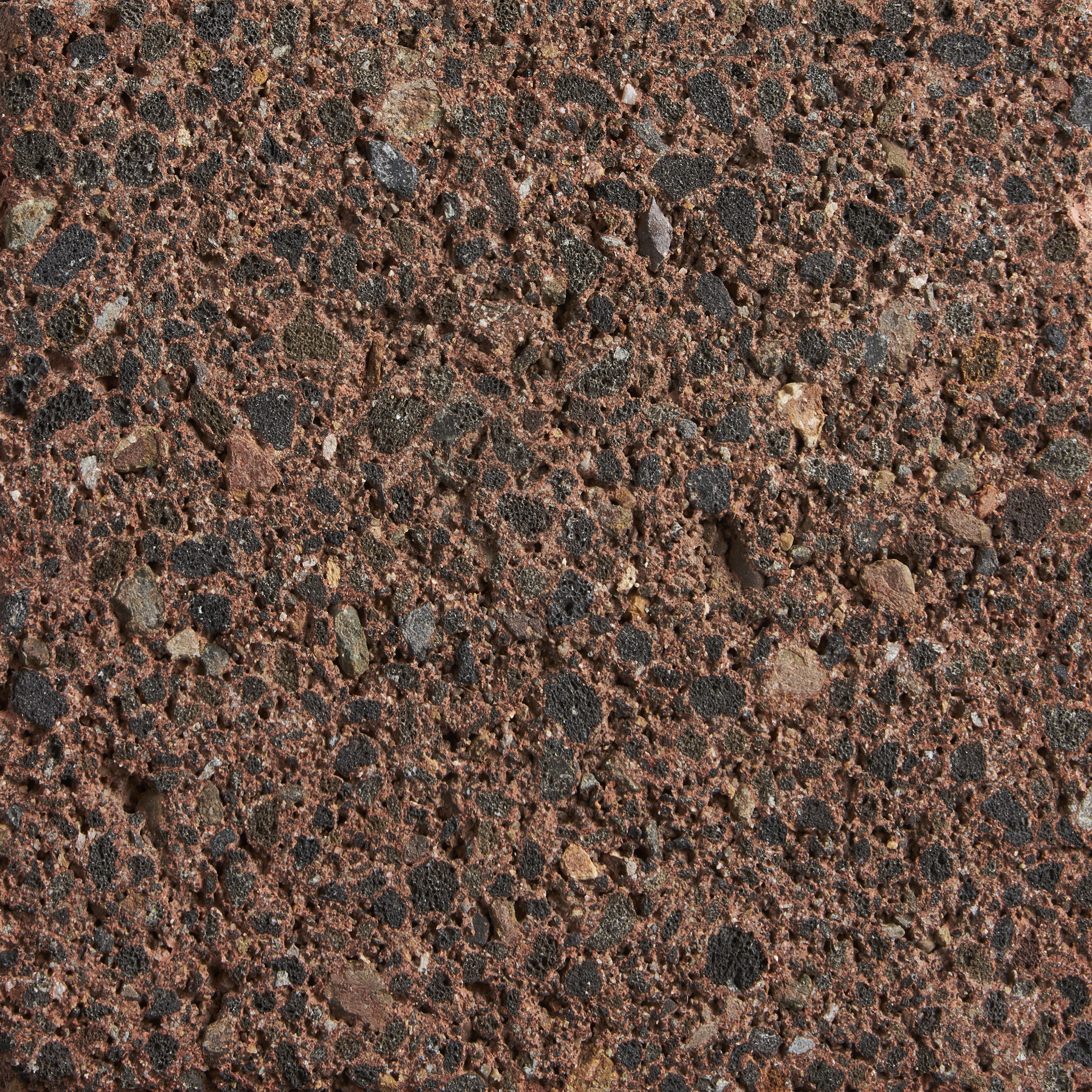 Russet
